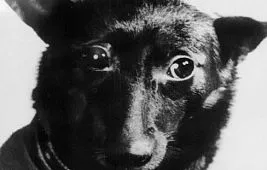 «Спутник-9»: аппарат для подготовки полета человека в космос