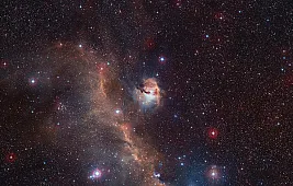 Туманность Чайка