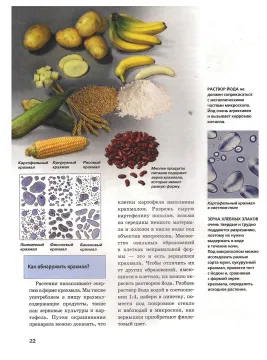 Астрономия. Биология. Детские энциклопедии Levenhuk (4 книги), изображение 14