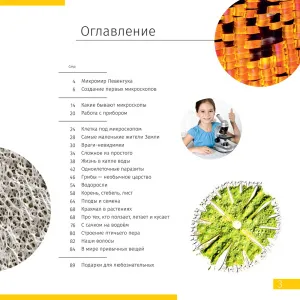 Книга знаний в 2 томах. «Космос. Микромир», изображение 2