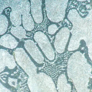 Микроскоп металлографический инвертированный MAGUS Metal V700, изображение 16