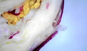 Микроскоп цифровой Levenhuk DTX 720 WiFi, изображение 15