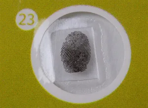 Набор микропрепаратов Levenhuk LabZZ P12, растения, изображение 7