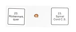 Набор микропрепаратов Bresser 25 шт., в кейсе, изображение 7