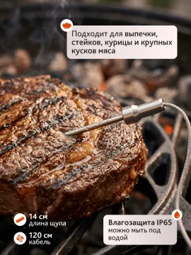 Термометр для мяса Levenhuk Wezzer Grill BT40, изображение 15