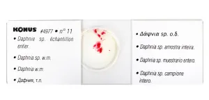 Набор микропрепаратов Konus 25: «Беспозвоночные и насекомые», изображение 7