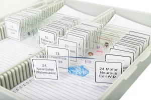 Набор микропрепаратов Bresser 25 шт., в кейсе, изображение 4