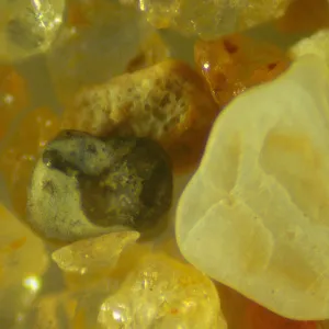 Микроскоп стереоскопический цифровой MAGUS Stereo D9T LCD, изображение 27