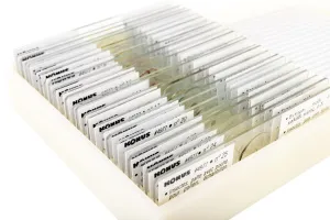 Набор микропрепаратов Konus 25: «Беспозвоночные и насекомые», изображение 4