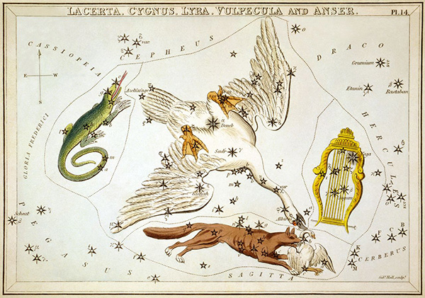Шелиак
